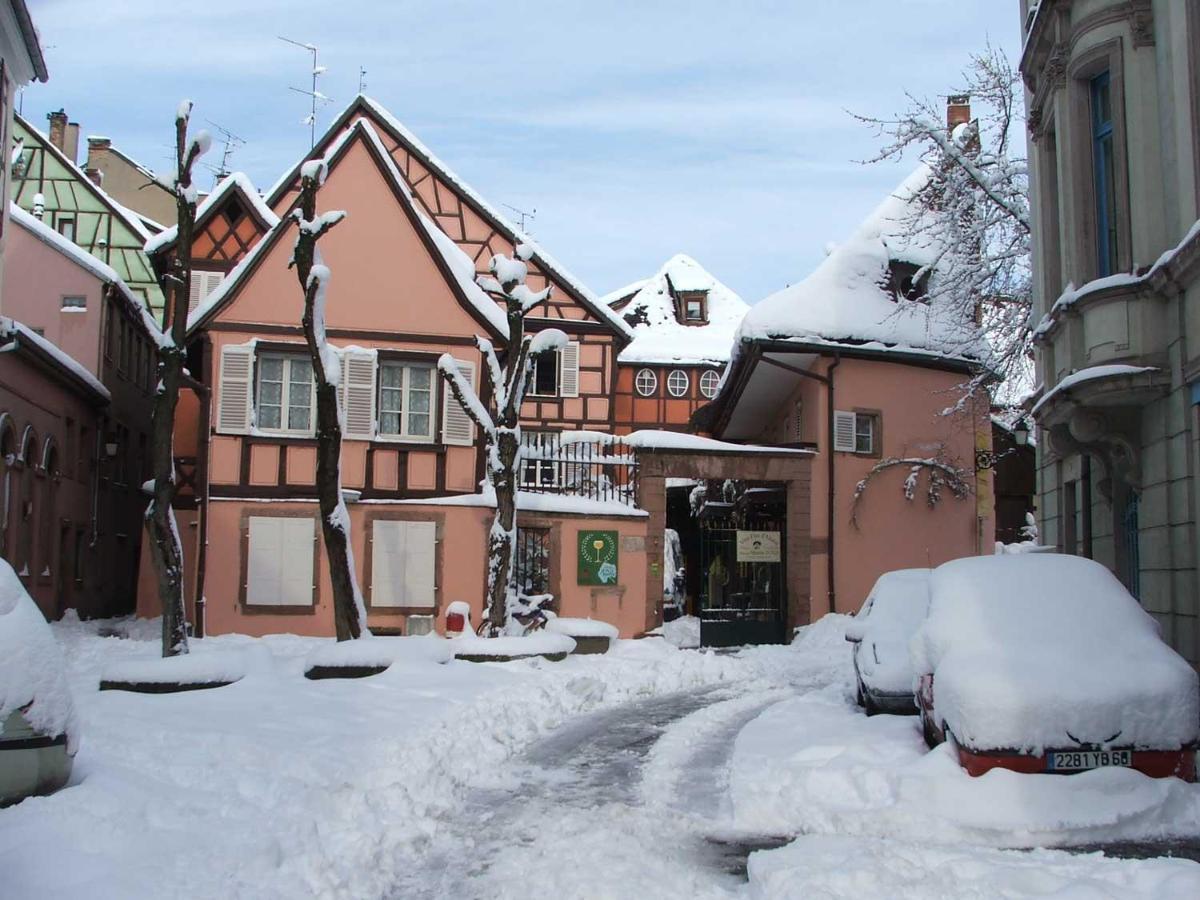 Chez Cecile Bed And Breakfast Chez Le Vigneron Colmar Exteriör bild