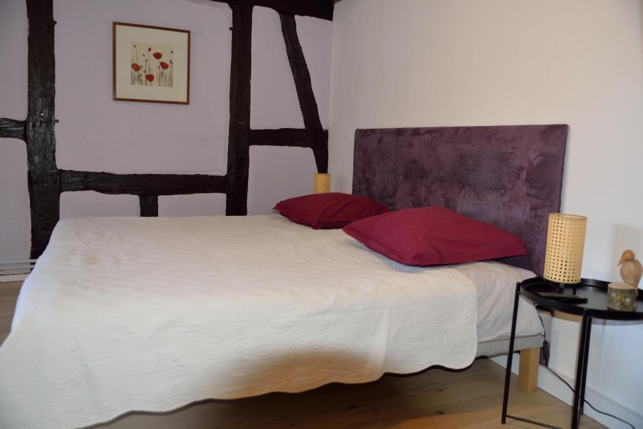 Chez Cecile Bed And Breakfast Chez Le Vigneron Colmar Exteriör bild
